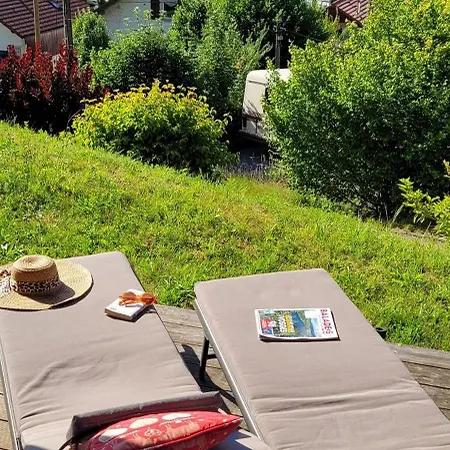 Apartamento Cosy - Grande Terrasse Pleine Vue Gérardmer